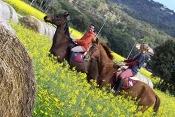 Horse riding excursions
